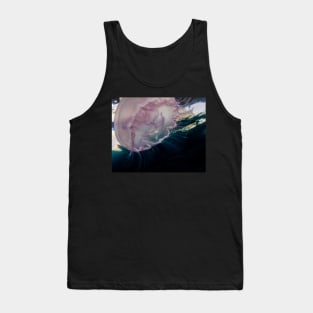 Moon Jellyfish With Small Fish Hiding Underneath Tank Top